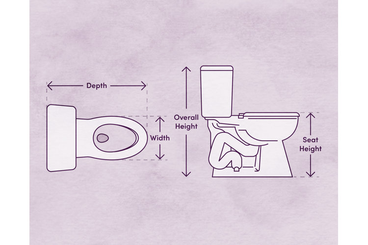 Toilet width shop